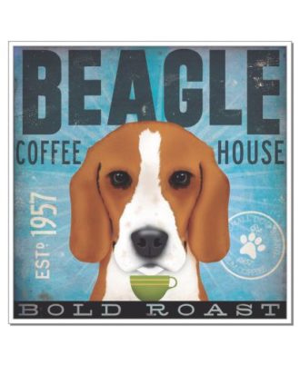 raça beagle coffee