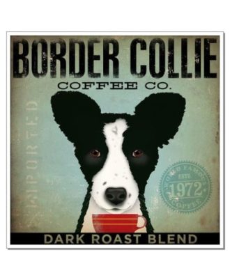 Raça Border Collie Coffee