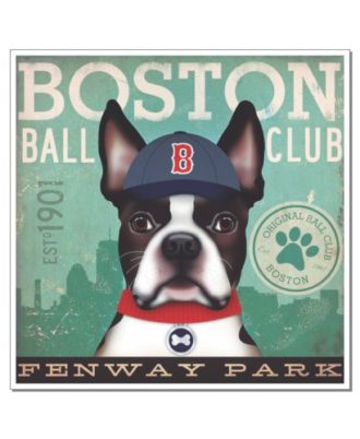Raça Boston Terrier