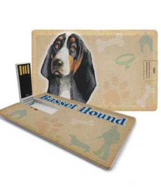 raça basset hound pen drive