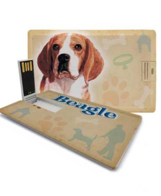 raça beagle pen drive