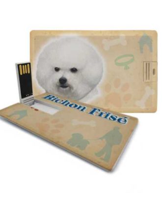 raça bichon frisé pen drive