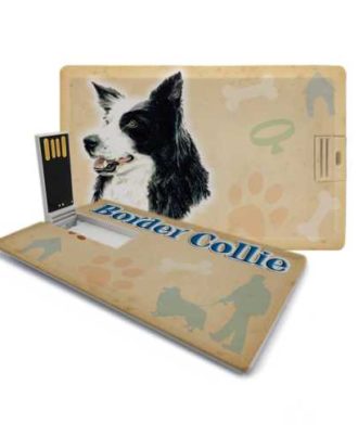 raça border collie pen drive