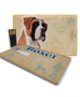 raça boxer pen drive
