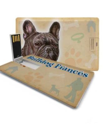 raça bulldog francês pen drive