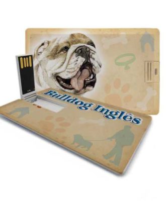 raça bulldog inglês pen drive