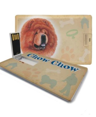 raça chow chow pen drive