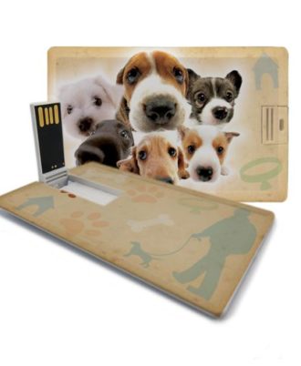 filhotes de cachorro pen drive