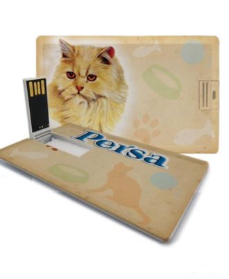 gato persa pen drive