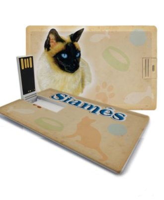 gato siamês pen drive