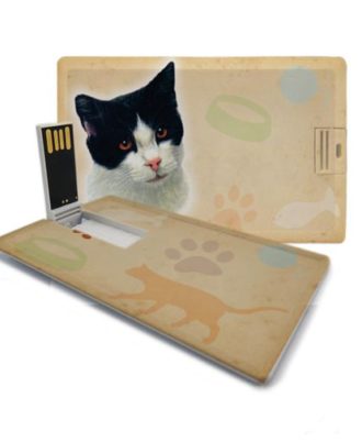 pen drive gatos
