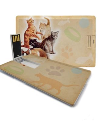 Pen drive gatos