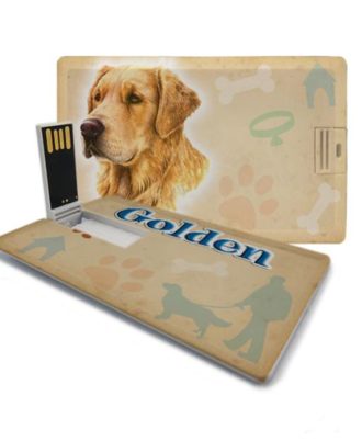 raça golden retriever pen drive