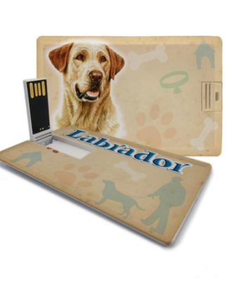 raça labrador pen drive