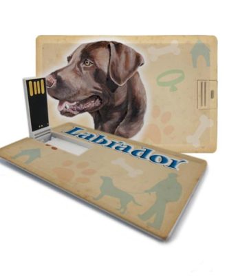 raça labrador chocolate pen drive