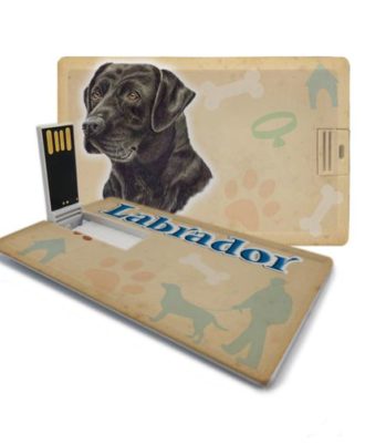 raça labrador preto pen drive