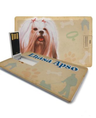 raça lhasa apso pen drive