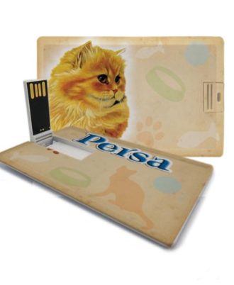 gato persa caramelo pen drive