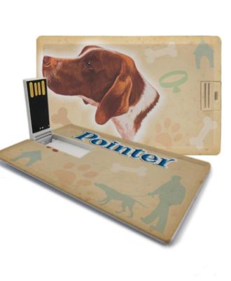 raça pointer inglês Pen drive