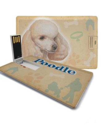 raça poodle pen drive