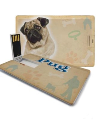 raça pug pen drive