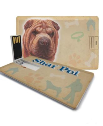 raça shar pei pen drive