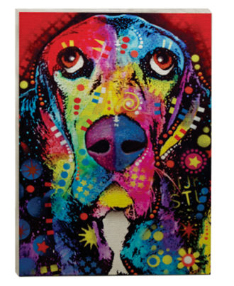 raça basset hound quadro