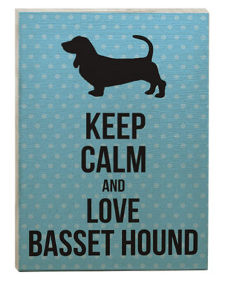 raça basset hound quadro