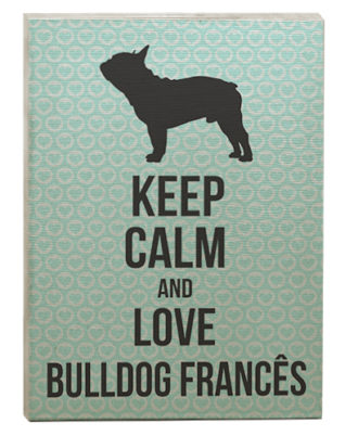 raça bulldog francês quadro