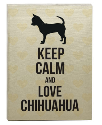 raça chihuahua quadro