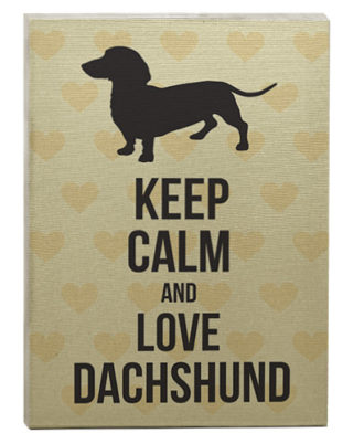 raça dachshund quadro love