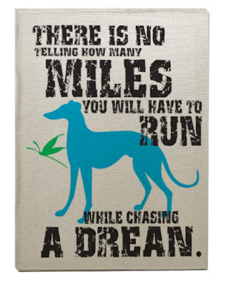 raça galgo quadro decorativo