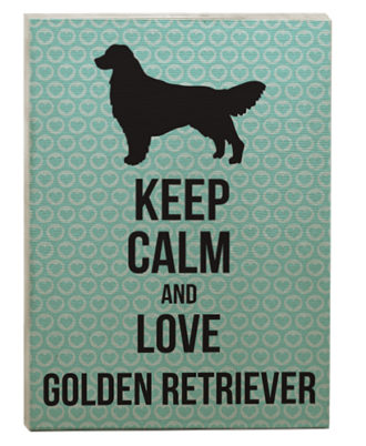 raça golden retriever quadro