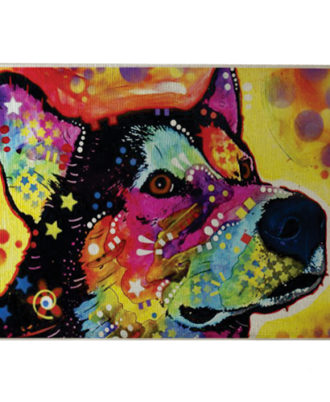 raça husky siberiano quadro colorido
