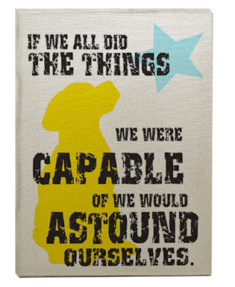 raça labrador quadro