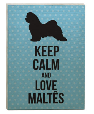 raça maltês quadro decorativo