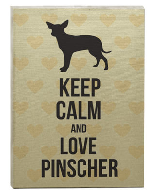 raça pinscher quadro