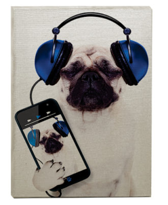 raça pug quadro celular