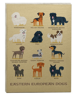 quadro decorativo com raças de cães
