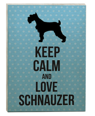 raça schnauzer quadro