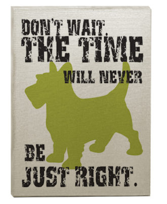 raça scottish terrier quadro