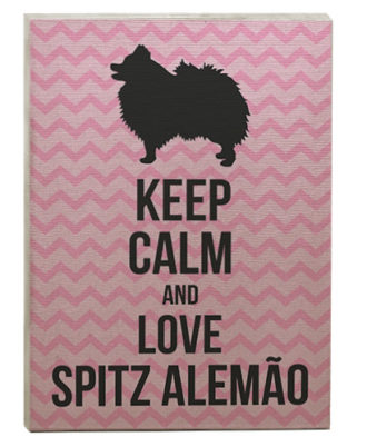 raça spitz alemão quadro