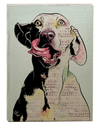 raça weimaraner quadros